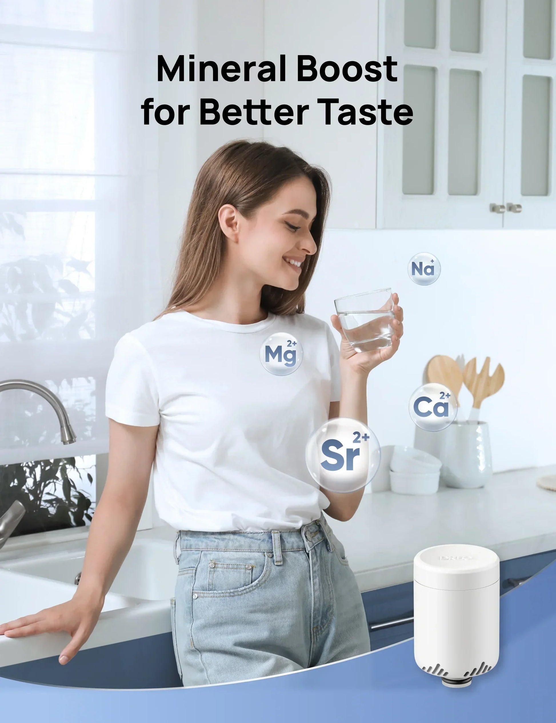 Post Carbon Filter for Water Filter WF511 - CA - DREO