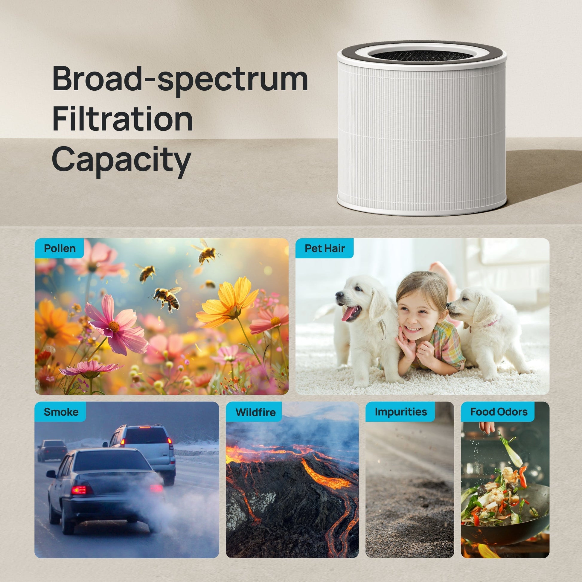 Broad-spectrum Filtration Capacity